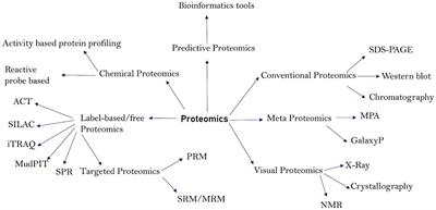Proteomics approaches: A review regarding an importance of proteome analyses in understanding the pathogens and diseases